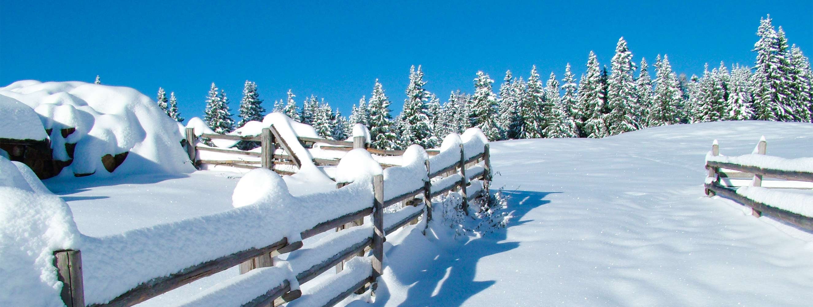 Winter am Neu-Schötzerhof