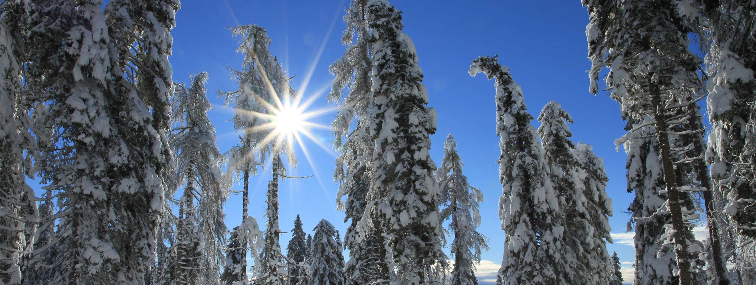 Winter am Neu-Schötzerhof