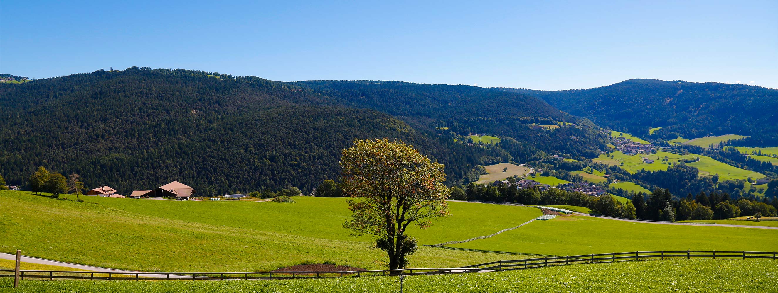 Besonderheiten in Mölten und Umgebung