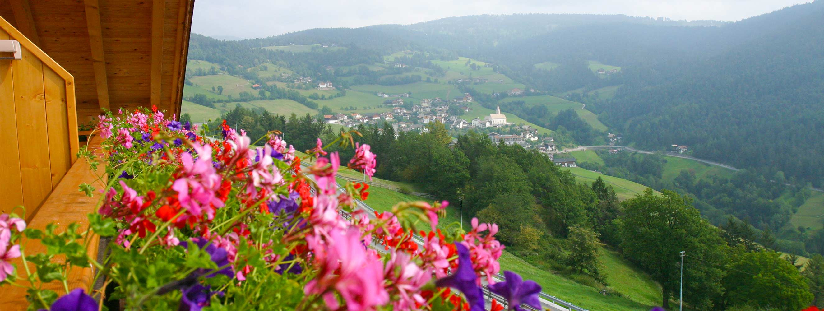 Sommer am Neu-Schötzerhof