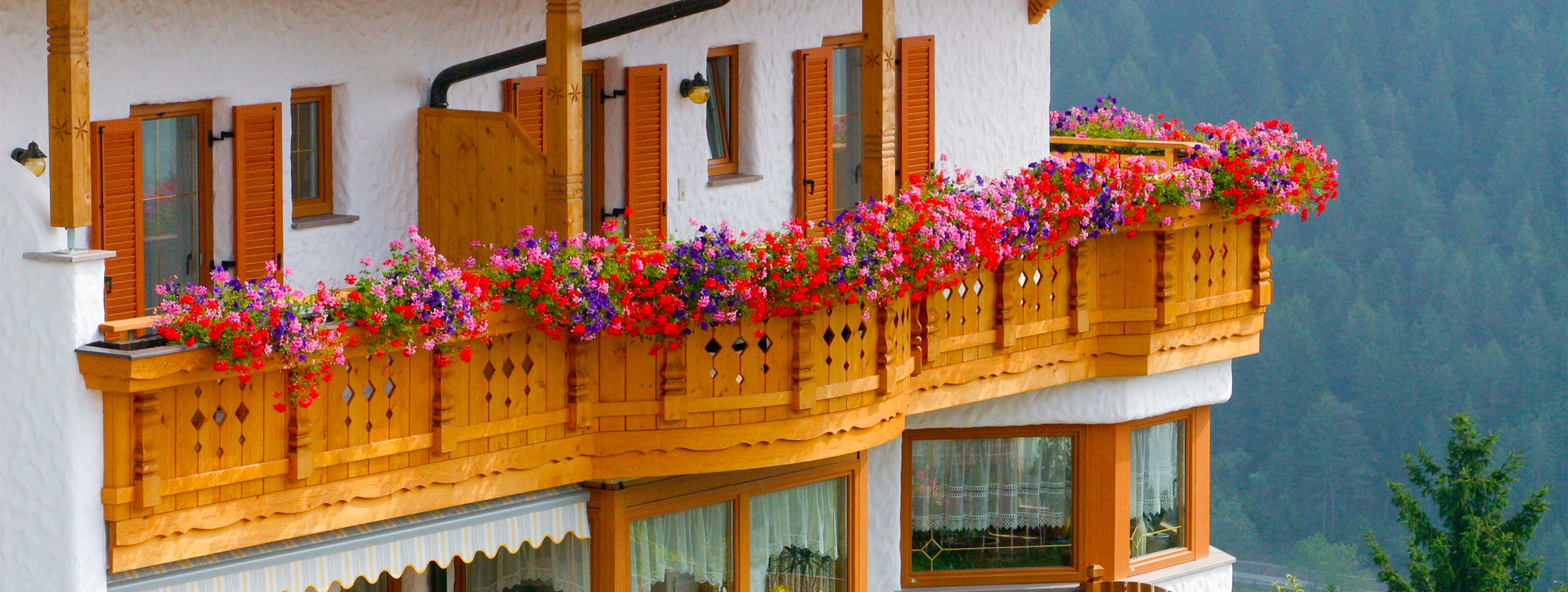 Sommer am Neu-Schötzerhof